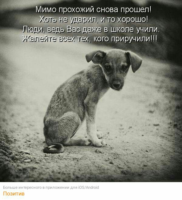 Мимо прохожий снова прошел