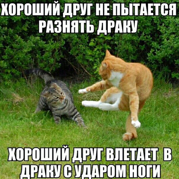 ШРПШИЙ дРШ ПЬПАЕЮН РАЗНПТЬ дРАШ ШРВШИЙ дРУГ ВИНАП В ШШШ В УддРПМ НОГИ