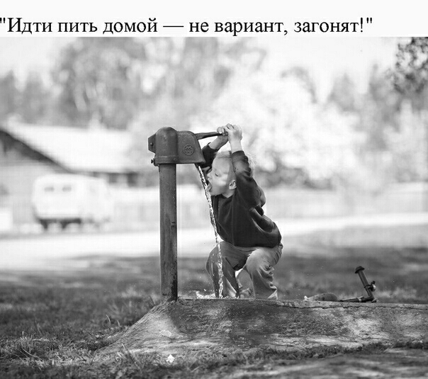 Идти пить домой не вариант загонят _
