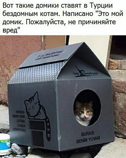 Вот такие домики сгавят в Турции бездомным котам Написано Это мой домик Пожалуйсга не причиняйте вред