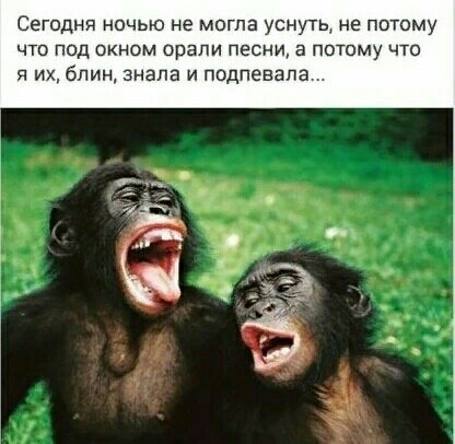 СЕГОДНЯ НОЧЬЮ не МОГПЭ УСНУТЬ не ПОТОМУ ЧТО ПОД ОКНОМ ОПЕЛИ ПЕСНИ а ПОТОМУ ЧТО я их блин анапа и подпевапа