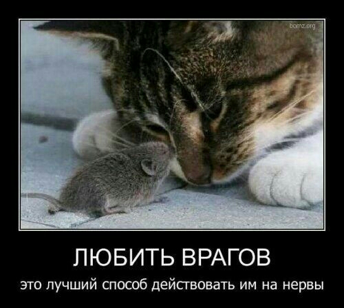 ЛЮБИТЬ ВРАГОВ ЭТО ЛУЧШИЙ СПОСОБ дейсгвовать ИМ на нервы