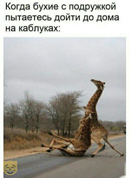 Когда бухие с подружкой пытаетесь дойти до дома на каблуках