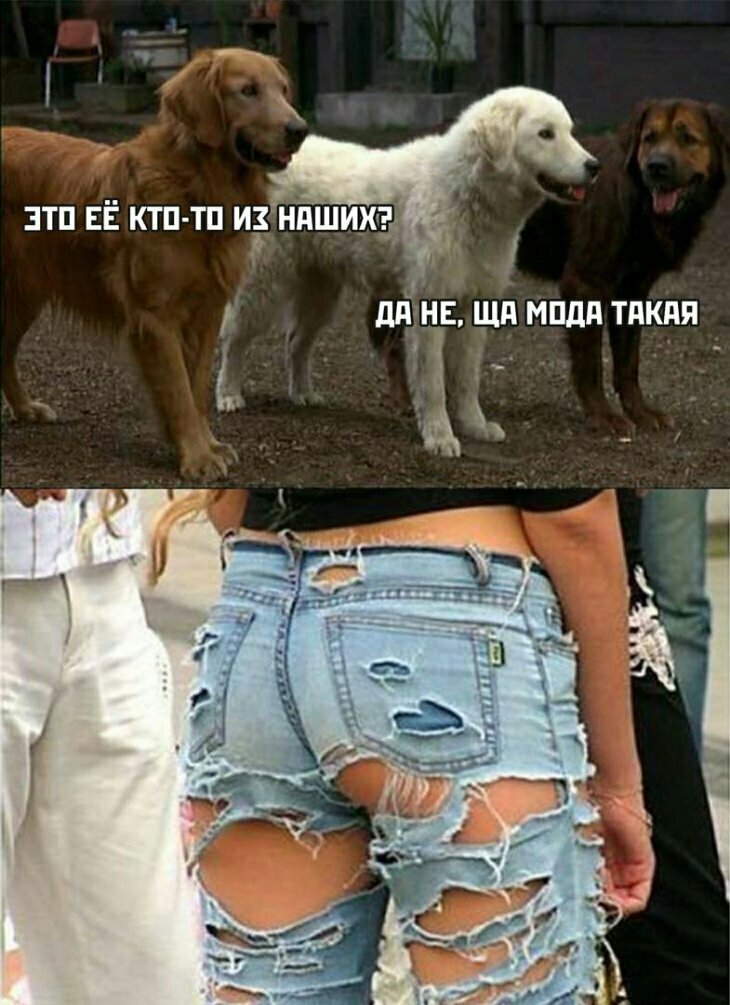 ддінр шп мпдд тдкпя ім _ г с