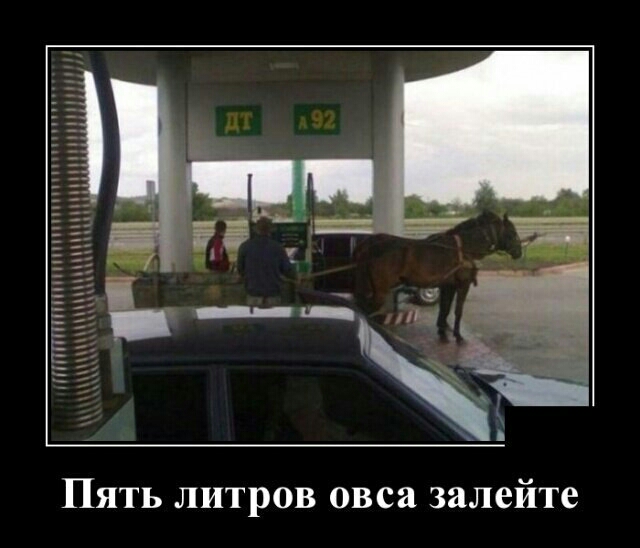 Пять литров овса залейте
