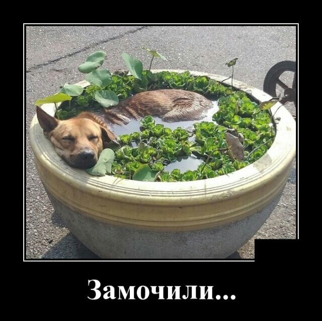 Замочили