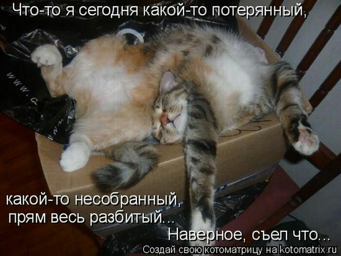 Чтотю я сегодня кёкойдтіпотетт ь _ каком то несобранным прям весь раібитъй На Ное съеп что У Создан свою котоматрицу дистотатпх гц _