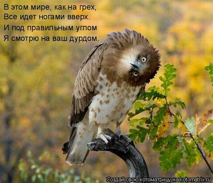 в этом мире как на грех Все идет ногами вверх од правильным углом отрю на ваш дурдом штоматрнщ наЪ от и