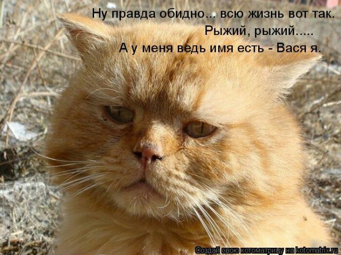 _ д н Ну правда обиднощ всюдкизнь воі так Рыжий рыжий имя есть ёа я_ м