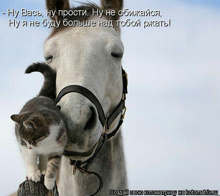 у прости Н не сбижайся обой ржать