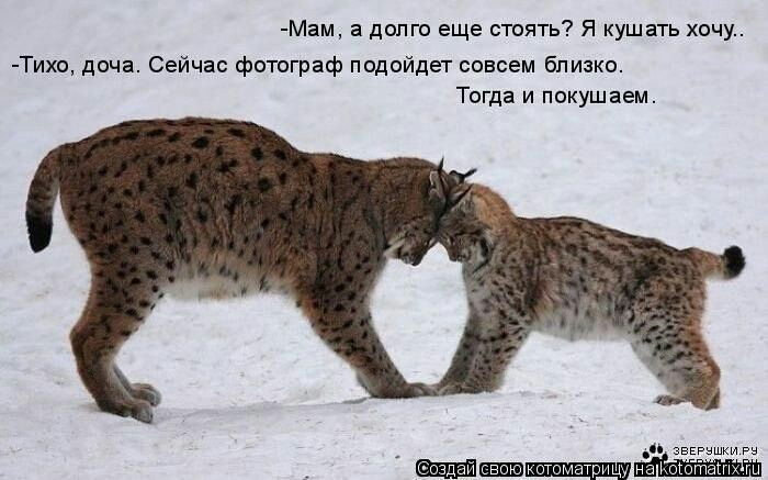 Мам а долго еще стоять Я кушать хочу Тихо доча Сейчас фотограф подойдет совсем близко Тогда и покушаем _ звщшки
