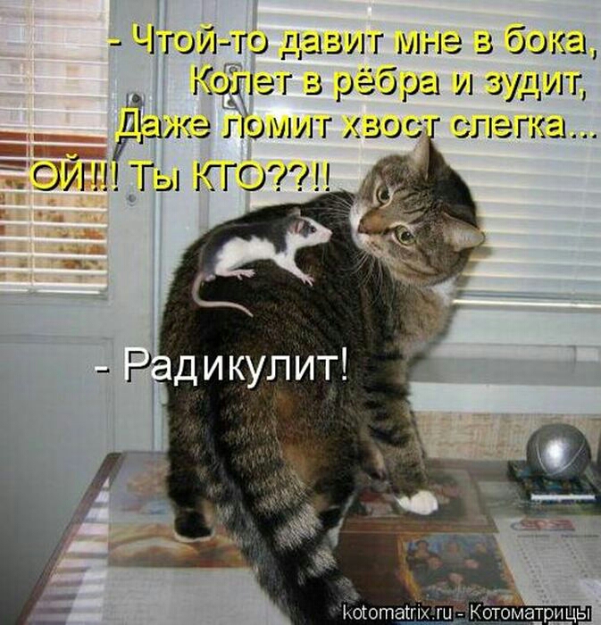 У Чгой то гаь ит мне бока опег рёбра чит 1кэг19мигьос слегка П СЗГГЁГГЩ СГО