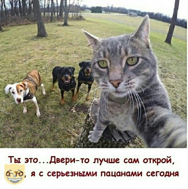 4 Шин 7 131 этоДверито лучше сам открой 1 ЁЁ с серьезными пацанами сегодня
