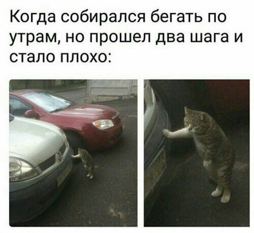 Когда собирался бегать по утрам но прошел два шага и стало плохо