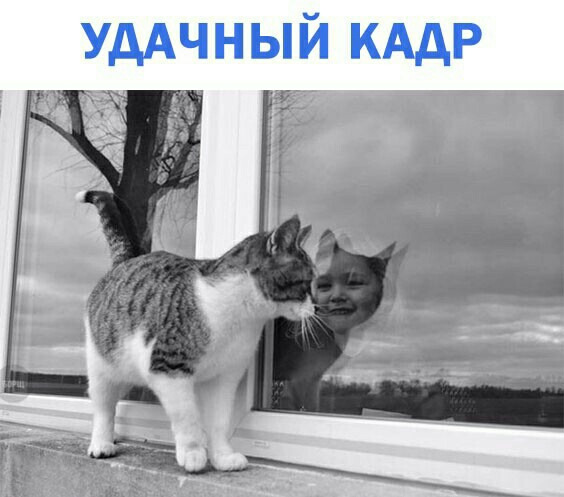 УДАЧНЫЙ КАДР
