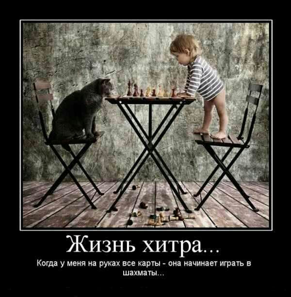 Жизнь хитра Коша у меня на руках все кнрты виа начинан играть шииты