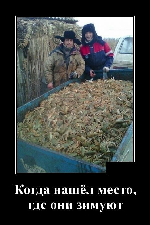 Когда нашёл место где ОНИ ЗИМУЮТ