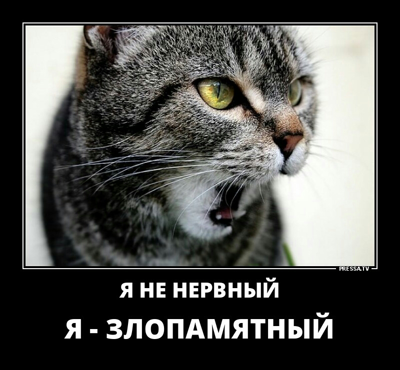 швами я НЕ ннрвный я злопдмятный