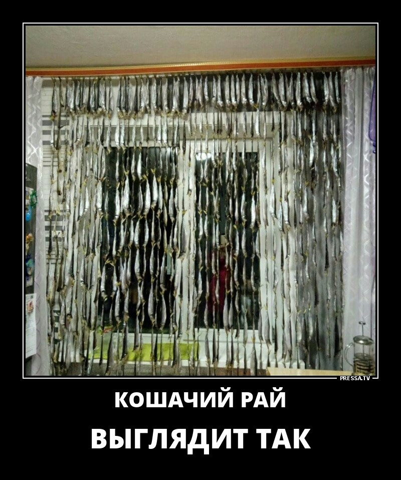 ОЩАЧИИ РАЙ выглядит ТАК
