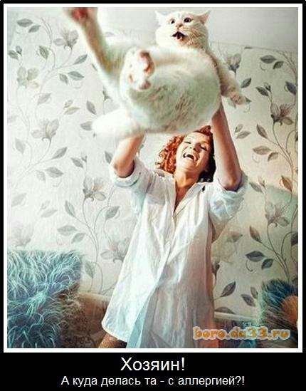 А куда делась та _ с аллергией