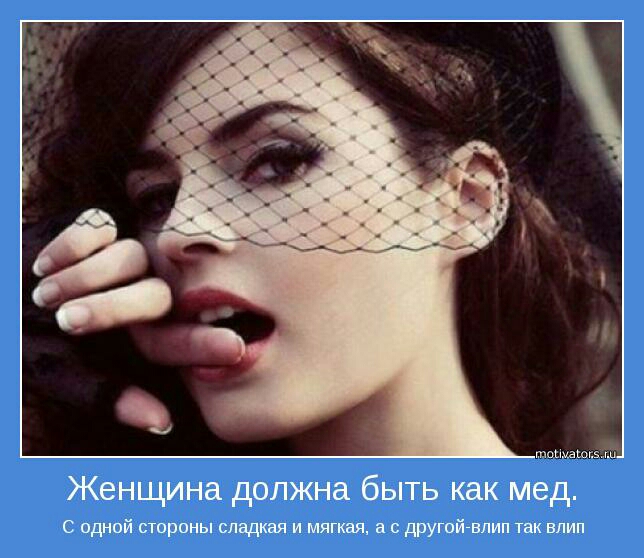 гингивит э Женщина должна быть как мед С одной стороны сладкая и мягкая а с другойгвлип так влип