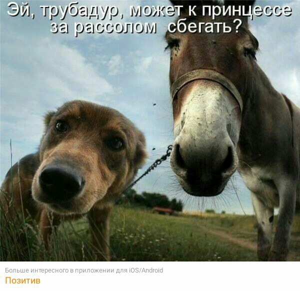 ЭИ грубглдур мож ЕЮЬОЛОМ Позитив