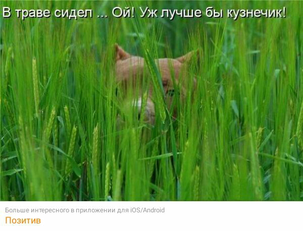 В траве сидел Ой Уж лучше бы кузнечик _ 4 и ч