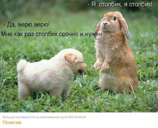 Я столбик я столбик