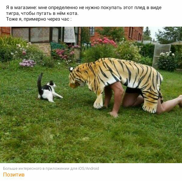 ч в магазине мне определенно не нужно покупать этт плед в виде тпгра чтоиы пугать в нем нога Тоже к примерно чер ас