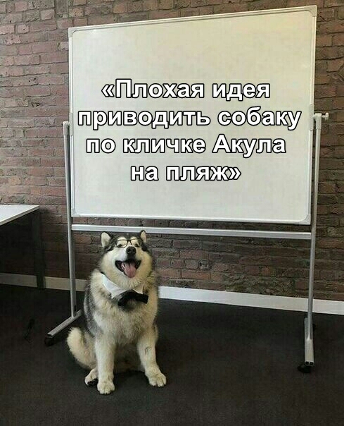 шпдип осб