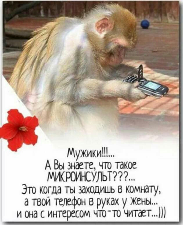А Вы знаете что такое МЖРОИНСУЛЬТ Это когда ты заходишь в комюту а твой телефон в руках у жены и она с интересом что то читает