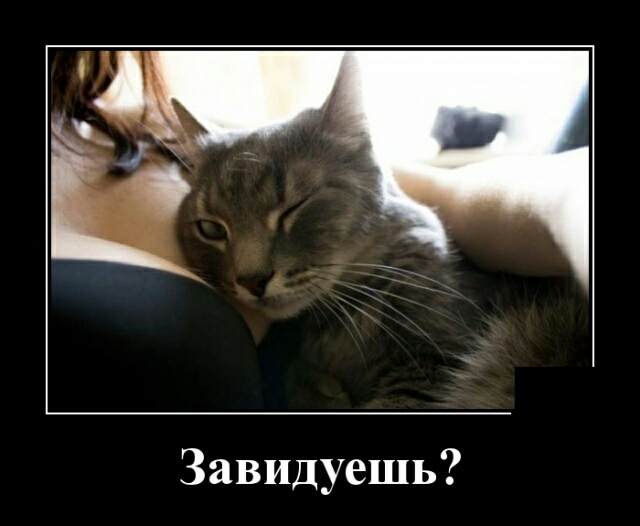 Завидуешь