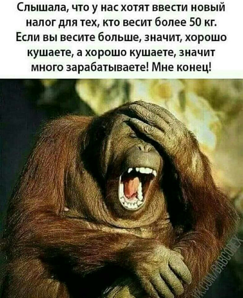 Слышала что у нас хотят ввести новый налог для тех кто весит более 50 кг Если вы весите больше значит хорошо кушаете а хорошо кушаете значит много зарабатываете Мне конец