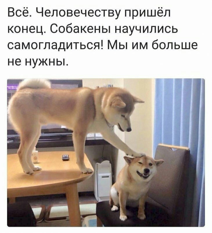 Всё Человечеству пришёл конец Собакены научились самогладиться Мы им больше не нужны Г