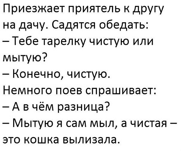 Приезжает приятель к другу на дачу_ Садятся обедать Тебе тарелку чистую или мытую Конечно чистую Немного поев спрашивает А в чём разница Мытую я сам мыл а чистая это кошка вылизала