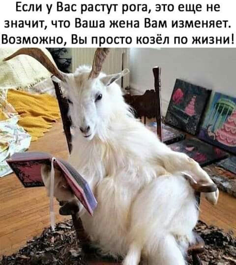 Если у Вас растут рога это еще не значит что Ваша жена Вам изменяет Возможно Вы просто козёл по жизни