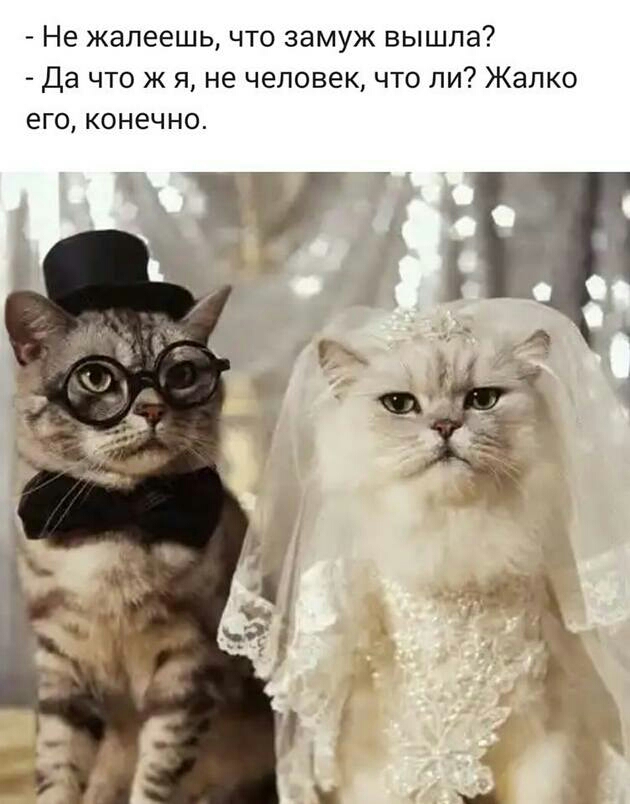 Не жалеешь что замуж вышла Да что ж я не человек что ли Жалко его конечно