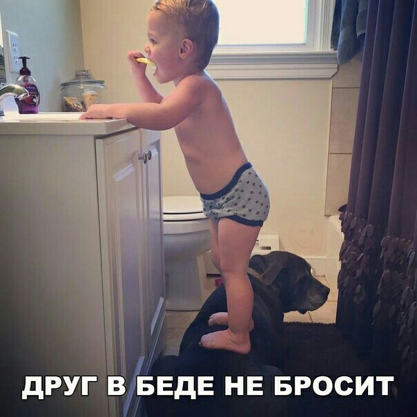 дРУГ В БЕДЕ НЕ БРОСИТ