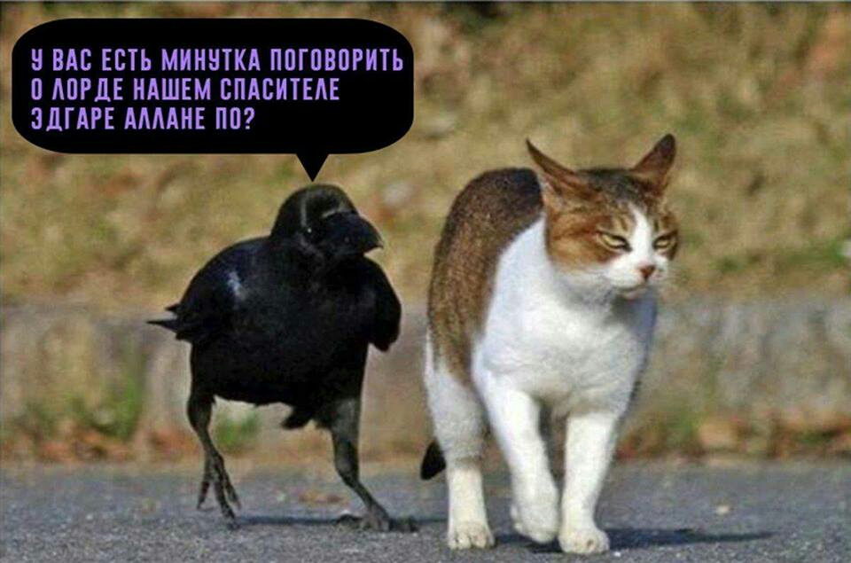 У ВАС ЕСТЬ МИНУТКА ПОГОВОРИТЬ О ЛОРДЕ НАШЕМ СПАСИТЕЛЕ ЗДГАРЕ АЛЛАНЕ По