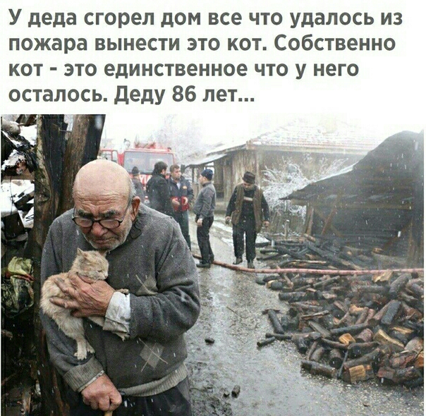 У деда сгорел дом все что удалось из пожара вынести это кот Собственно кот это единственное что у него осталось Деду 86 лет