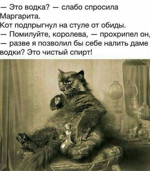 Это водка слабо спросила Маргарита Кот подпрыгнул на стуле от обиды Помилуйте королева прохрипел он разве позволил бы себе налить даме водки Это чистый спирт