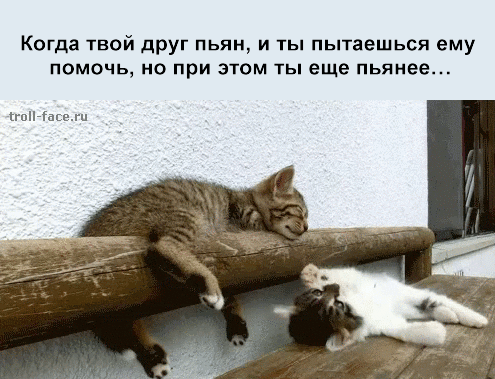 Когда твой друг пьян и ты пытаешься ему ПОМОЧЬ 0 при этом ТЫ еще ПЬЯИБВ