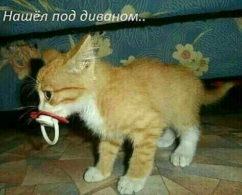 _ Ёаиэ51под ди