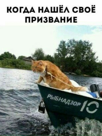 КОГАА НАШЁА своё призВАнив