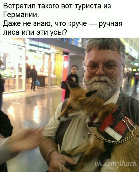 Встретил такого вот туриста из Германии Даже не знаю что круче ручная ПИСЗ ИЛИ ЭТИ усы