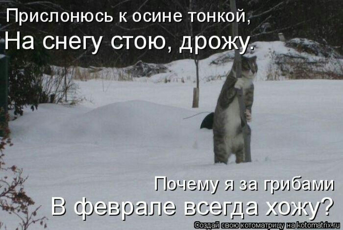 Прислонюсь к осине тонкой На снегу стою дрожу Пшчзм Я 31 грибамии еще всегда ШАС п Шпиц шим Шшшш