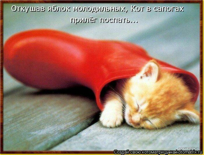 ПСПО иглшдияЬгЬід ПИ прилег пишим