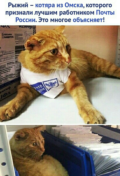 Рыжий на которого признали лучшим работником ПО ОСЕНН ЭТО МНОГОЕ ЦЕЪП