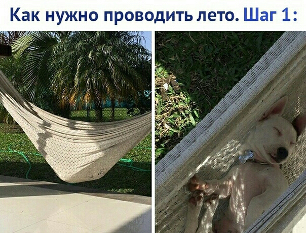 Как нужно проводить лето Шаг 1 и к