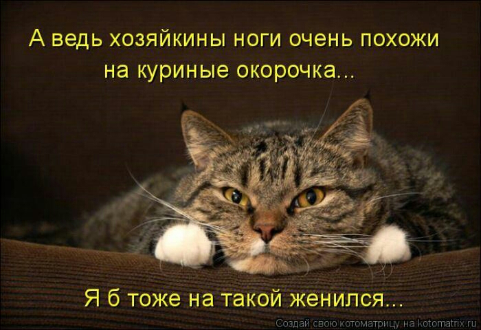 А ведь ХОЗЯЙКИНЫ НОГИ очень ПОХОЖИ на куриные окорочка Я 6 тоже на такой женился